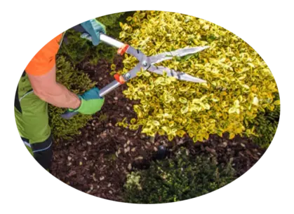 Mantenimiento y corte de cesped