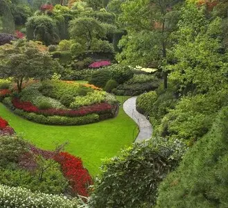 Empresa de podas y talas controladas en altura Girona Empresa de podas y talas controladas en altura Girona