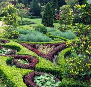 Empresa de podas y talas controladas en altura Girona Empresa de podas y talas controladas en altura Girona