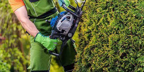 Empresa de podas y talas controladas en altura Girona Empresa de podas y talas controladas en altura Girona