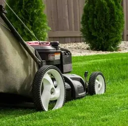 Empresa de podas y talas controladas en altura Girona 