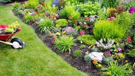 Empresa de podas y talas controladas en altura Girona Empresa de podas y talas controladas en altura Girona