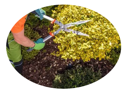 Mantenimiento y corte de cesped