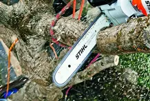 Podas en altura Madrid Podas de altura Madrid