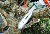 Podas en altura Girona Podas y tala en altura Girona