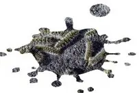 tratamiento contra orugas plagas de orugas